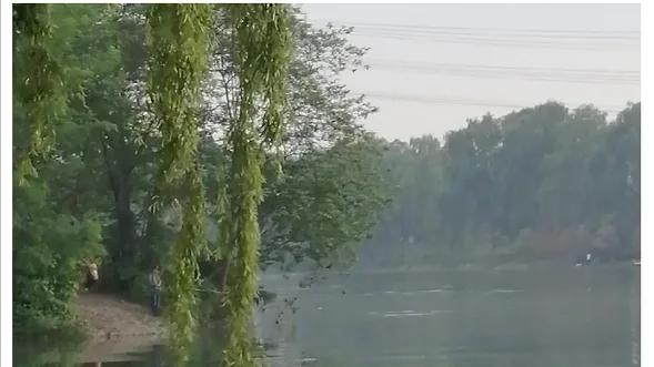 |为何「钓鱼的乐趣只有钓鱼人懂」？姜太公：原来钓鱼才是运动顶流