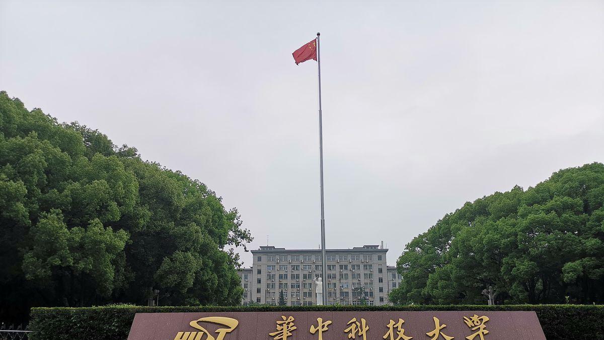 求职|华中科技大学电子硕士找工作如何选，中兴、汇川、联影和数马电子