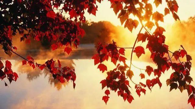 运势|好事将会准时来报到的生肖人