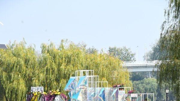 汉口江滩|菊展最佳赏花期还将持续，汉口江滩人气爆棚