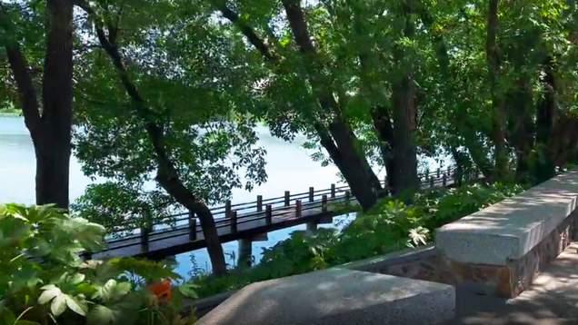 颐和园|游览武汉东湖边一座地标宾馆：被高大梧桐树铺满，风景美如画