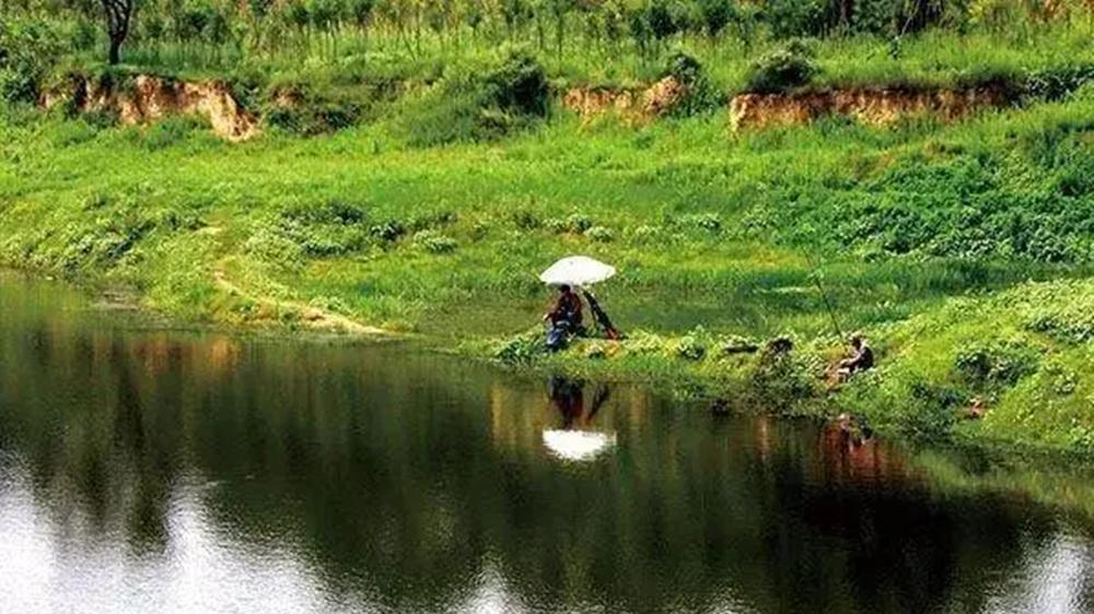 这5大黄金鱼窝，被钓鱼人疯抢，连窝子都不用打了