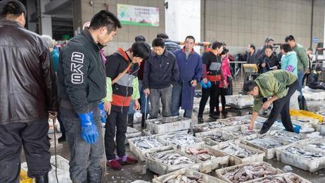 重金属|夏天买鱼时，这5种鱼要少买，自带“重金属”，老渔民：从来不吃