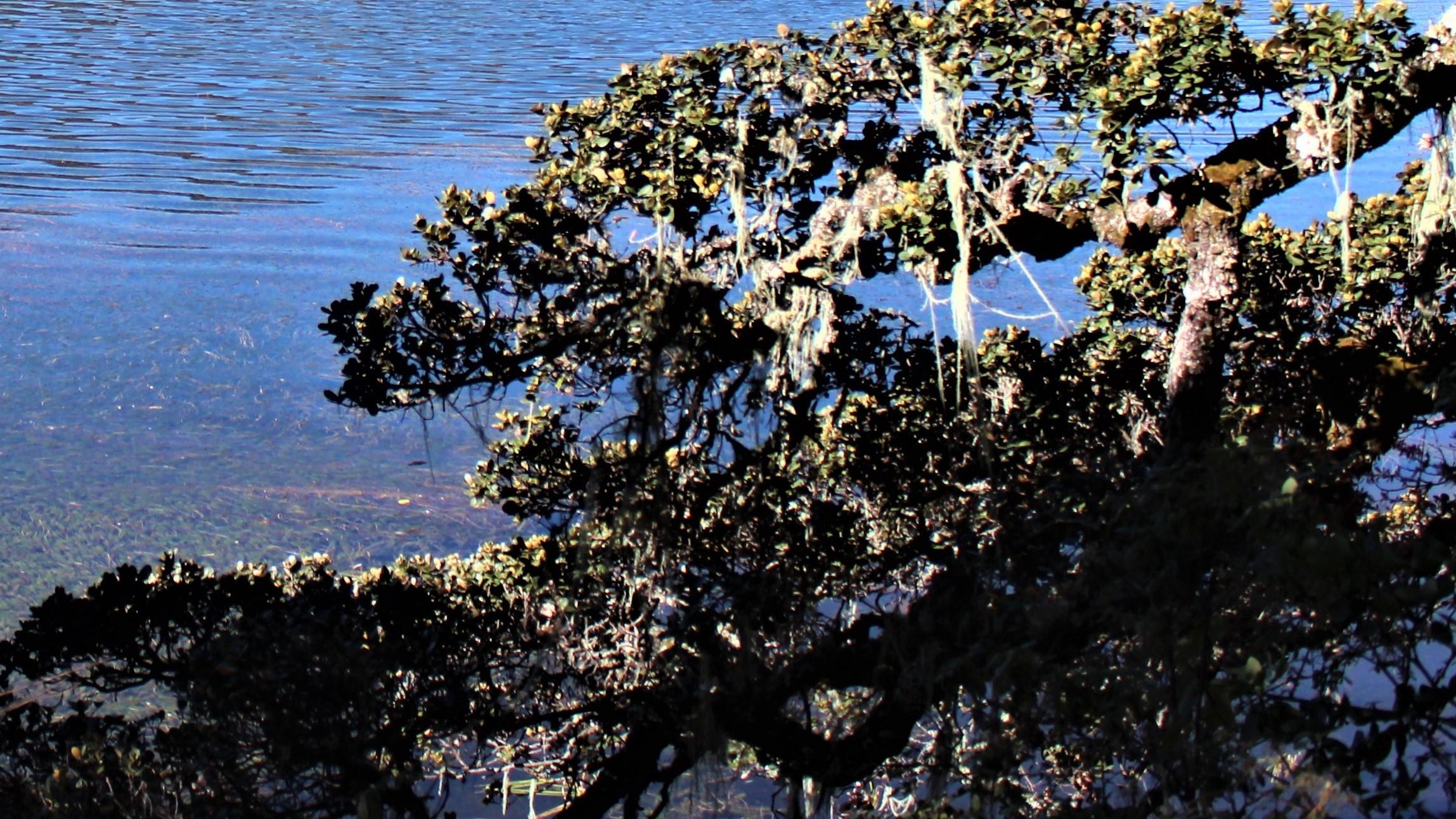 广西|合作，就是一出冒险