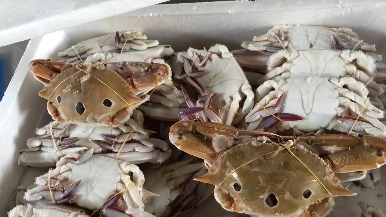 螃蟹|保存活螃蟹，直接放冰箱容易冻死，养殖户教3招，放7天也鲜活肥美