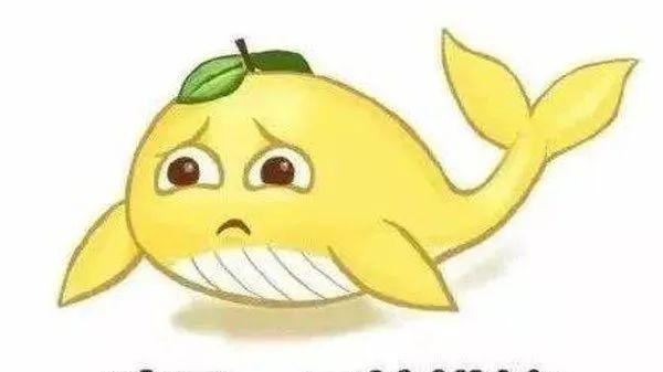 |玩梗玩的到底是什么