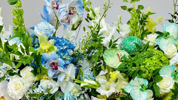 罗云熙过35岁生日，鞋子和蛋糕都是亮点，和白鹿暗戳戳秀恩爱好甜