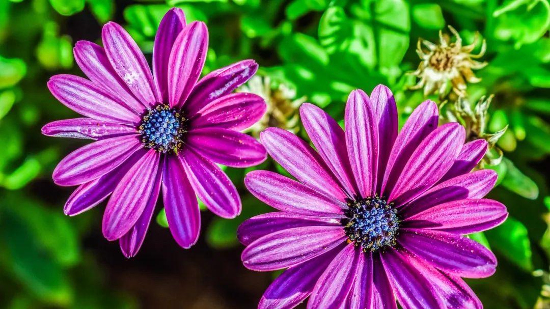 教师|你命里有没有钱，其实早已注定，看三处细节就清楚了