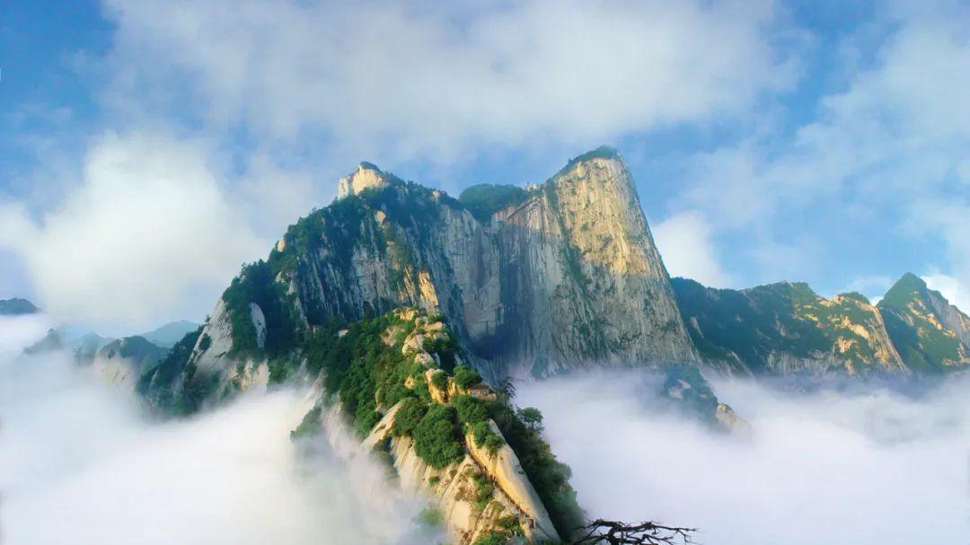 华山|“直播西北”重磅推出“华山文化旅游名片”