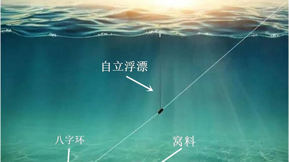 不用饵也能钓大鱼，只需几颗珠子，大鱼吃口不间断