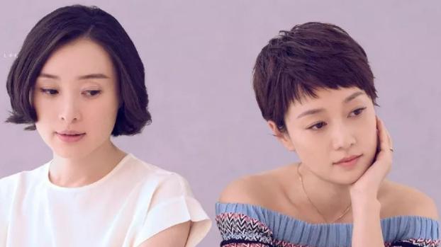 教师|《我的前半生》：演绎了成年人的生活状态，充满了无奈与心酸