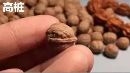 小核桃手串怎么挑选，这八个因素一个不能少