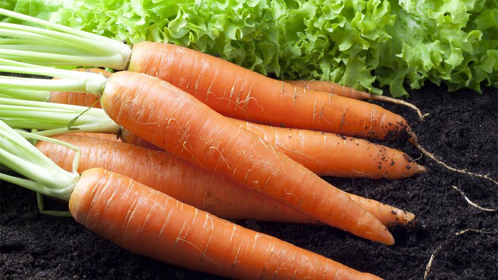 胡萝卜|胡萝卜的“死对头”，医生提醒：二者万不可同吃，弄懂再吃更受益