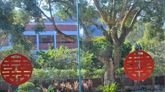 领证4天后吴千语和施伯雄晒婚纱照，互发英文秀恩爱，口碑翻转