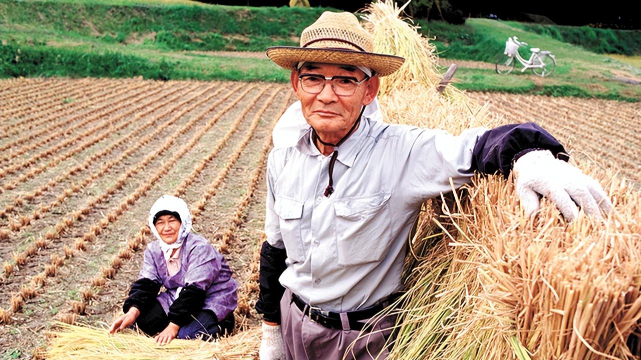 素素|退休后重返职场：日本老人能做到的，中国的老人为什么不行?