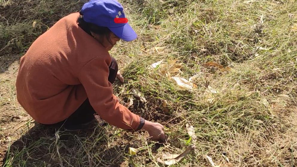 农民的社会地位什么时候可以变得高尚起来？