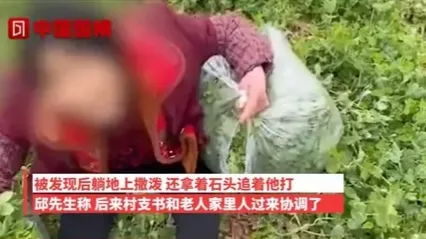 四川达州，男子邱某承包土地用来种了2000亩豌豆