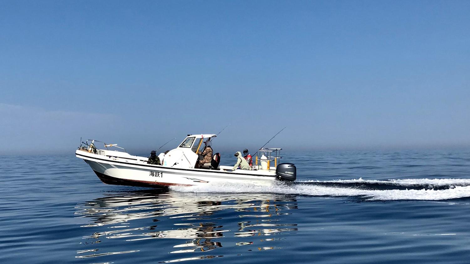 海钓|冬天海钓的4个要点，降低冬天海钓的难度，钓到更多的海鱼