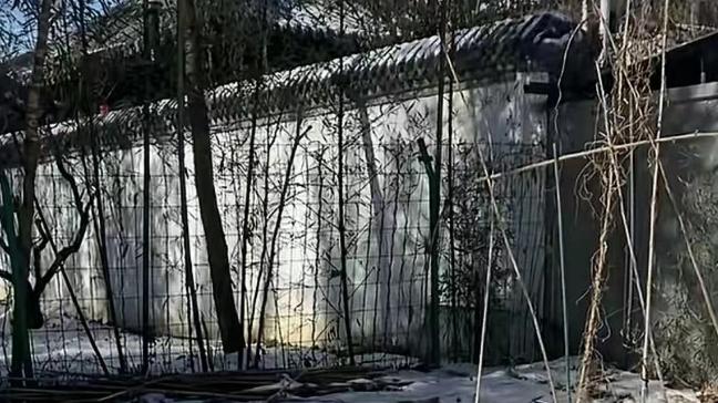 周海媚粉丝自发去别墅悼念！家周围荒凉一片，母亲带着骨灰已返港