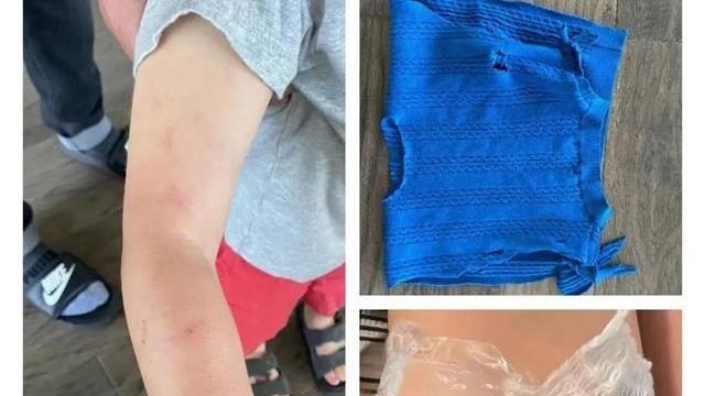 郑爽又“疯”了？被曝虐待孩子，残忍画面曝光！求求做个人吧！