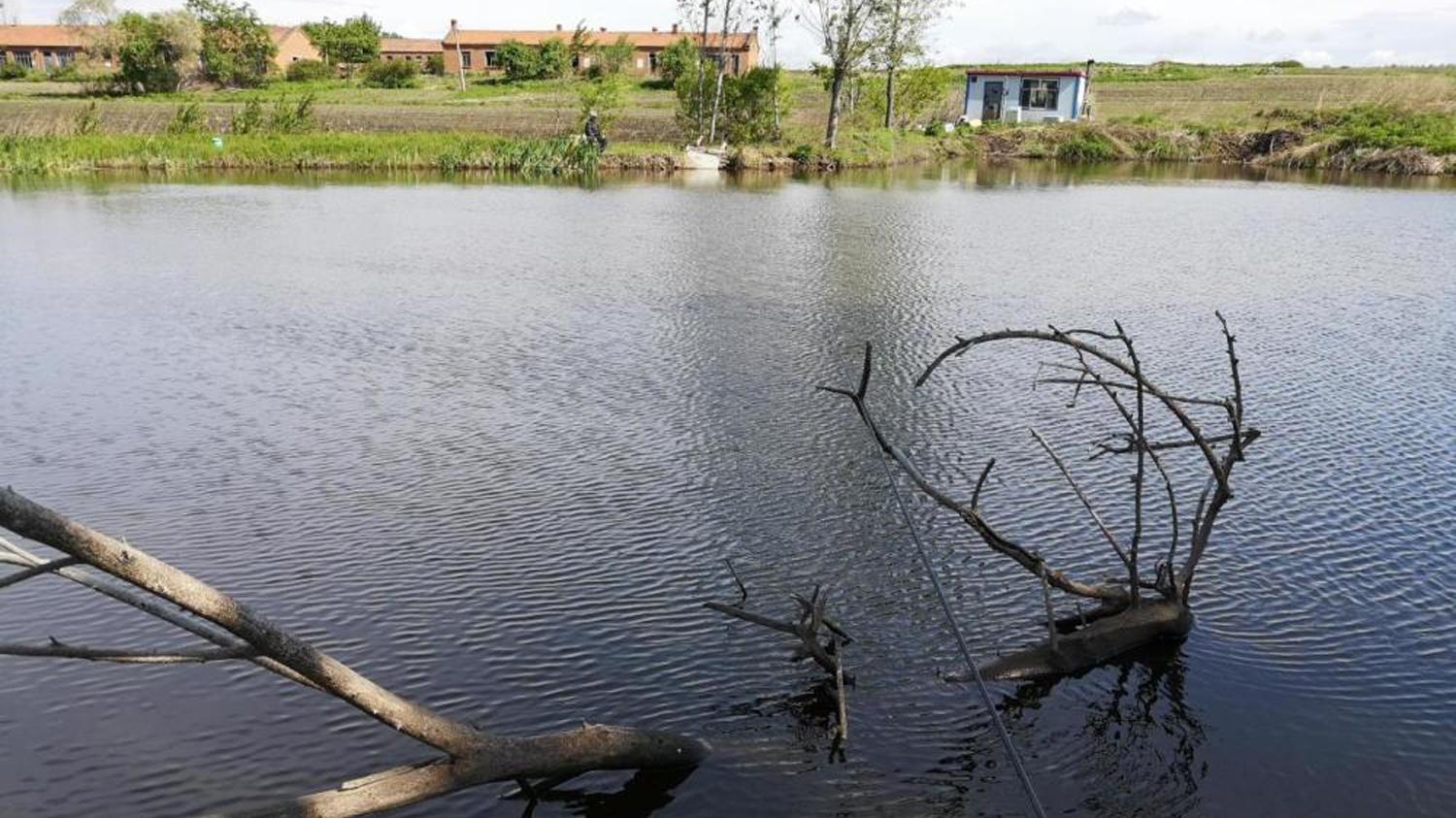 饵料|野钓时如何寻找鱼窝？野钓寻找鱼窝的4个技巧