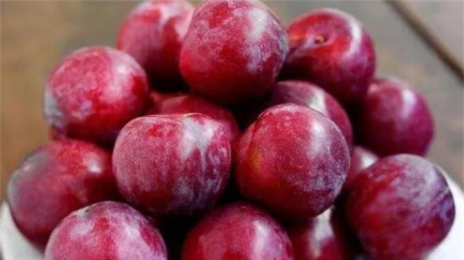 美食测评|为啥西梅和李子一个味？西梅是李子吗？西梅、布朗和李子有啥区别