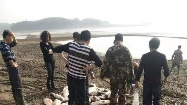 富不还乡！50岁男子“投资老家”遇纠纷：羁押234天后积郁病逝！