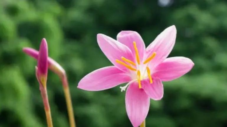 退休之后，不必合群，尽早远离这几个社交圈子