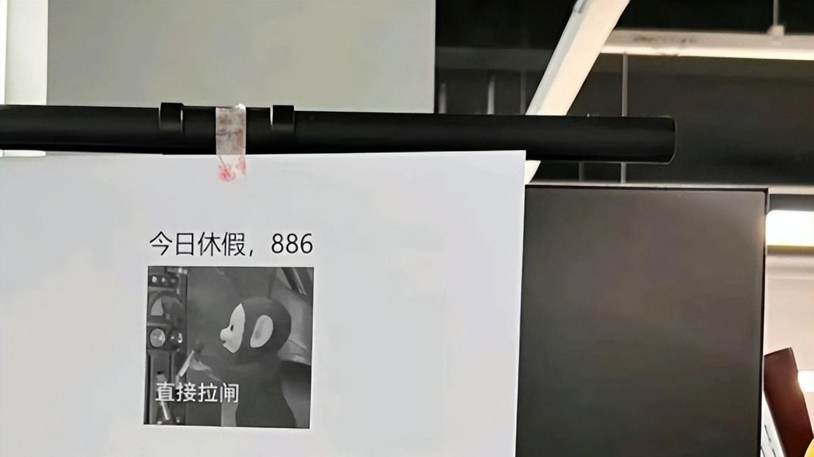“上班后整个人都癫了”，00后分享上班日常，精神状态让人笑活了