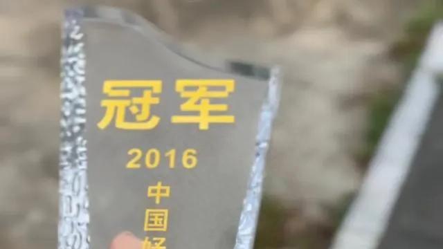 那英1.4亿豪宅曝光！太吓人啦，才华不行，钱却多得离谱必须严查