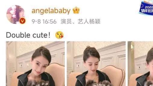 Angelababy|疑似搬离上海东方明珠上亿豪宅，杨颖居家晒美照，儿子小海绵出镜