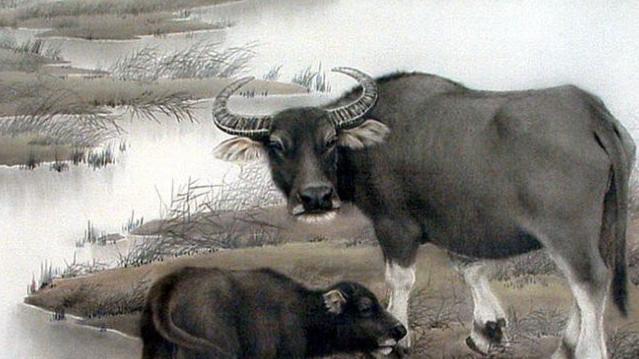 事业多进步，日子富连连，4生肖越活越精彩，今年少受累