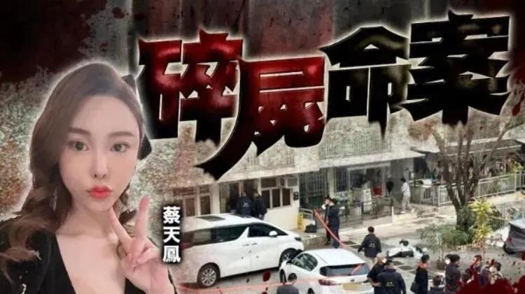 蔡天凤|反转！曝蔡天凤两任丈夫是恋人关系，她只是维护体面的棋子