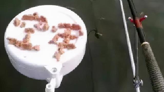 佛系|既诩佛系告天下，何以荒诞毁芳华？盘点钓不住鱼的几个奇葩理由