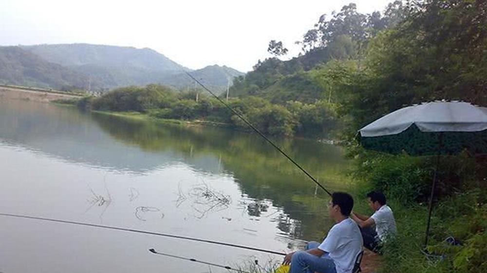 秋天野钓，学会4个“万金油”技巧，渔获轻松翻10倍