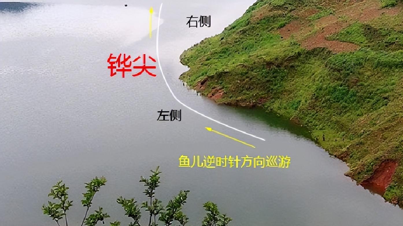 |钓鱼找鱼道，不怕没鱼钓，在野钓中怎么精准找到鱼道？
