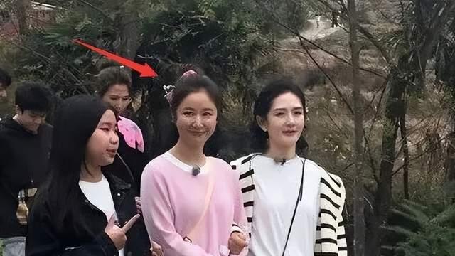 看到林心如和蔡少芬同框，我才明白：女明星也有“中年危机”！