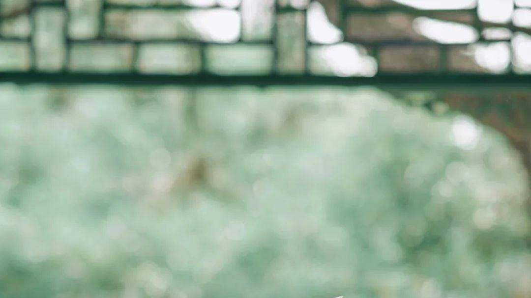 |手机美女壁纸230202