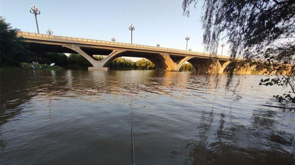 夏季野钓，4种天气别出门，3种钓位别下钩，不然10有9空