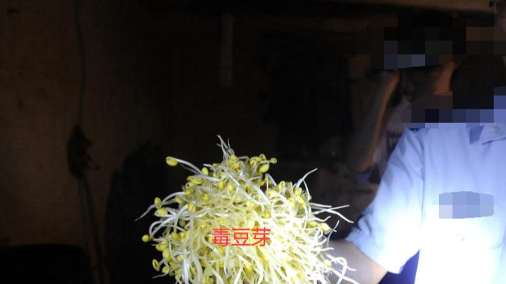 吉林长春，60岁大娘种豆芽卖出200元，没成想被判刑6个月