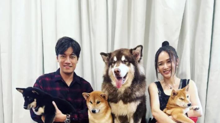 陈乔恩|陈乔恩晒老公视角出游照，打扮青春少女感足，腿部贴胶布引担忧