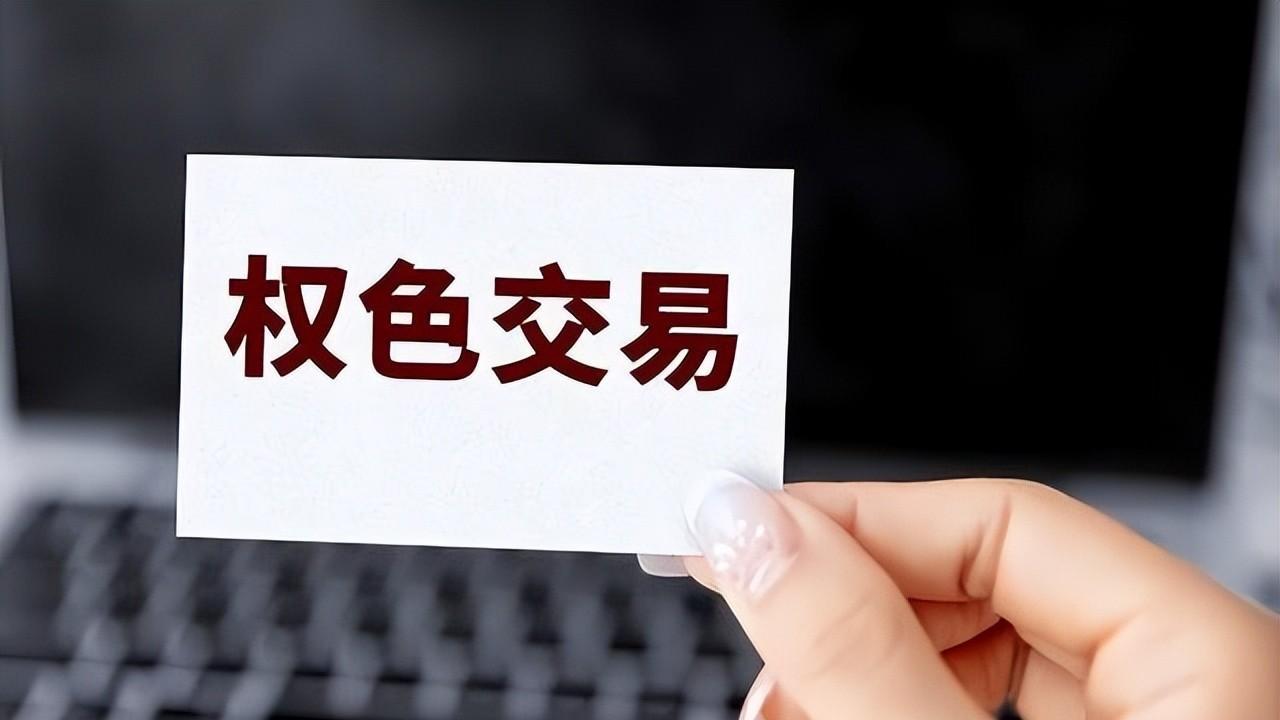 预告片|“公共情妇”李薇，45天狂捞2亿，一本日记将多位高官拉下马
