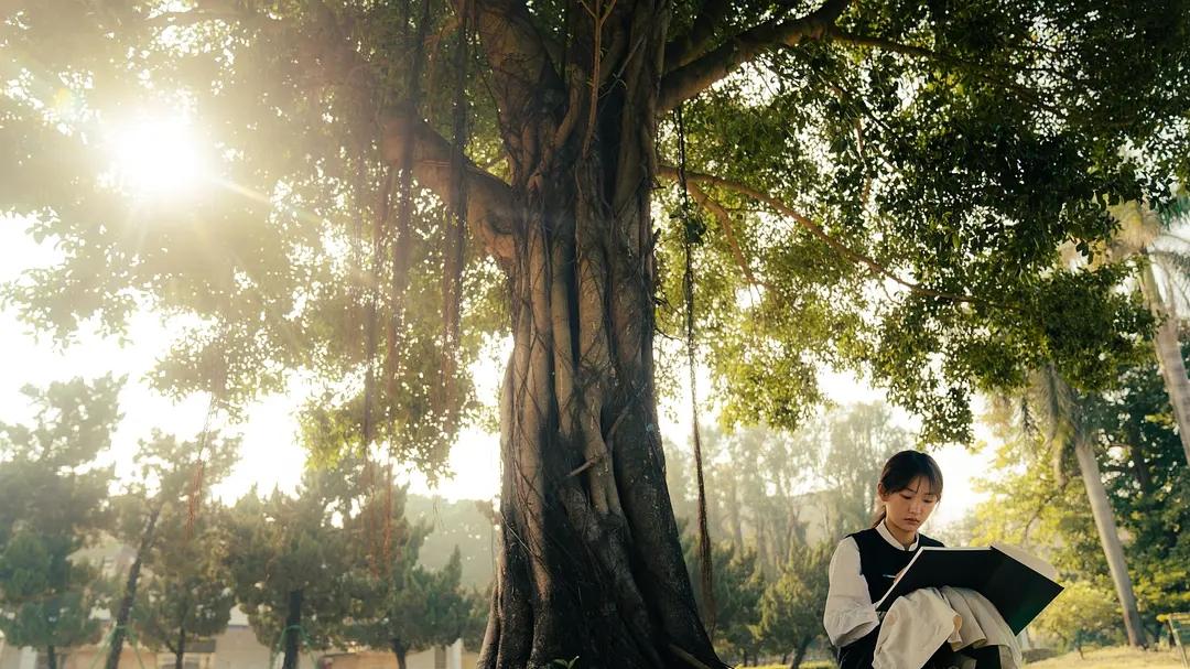 电视剧|2022年值得看的五部电视剧，你若全部都看过，证明你有眼光！