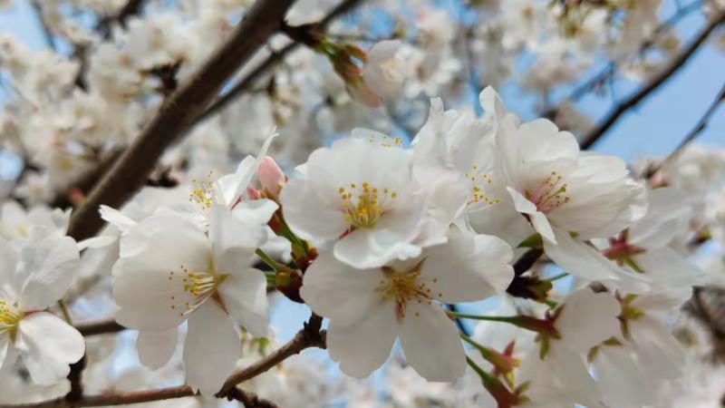 |被辞退前的十大征兆