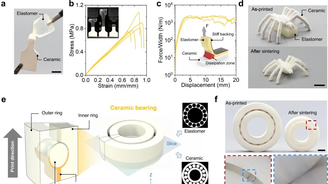 Java|《Nature》子刊：多材料3D打印研究突破！实现大体积异质3D物体生成