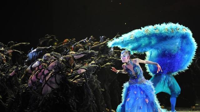 杨丽萍|该管管了！杨丽萍“秃毛孔雀舞”，照清为艺术献身的“流氓真相”