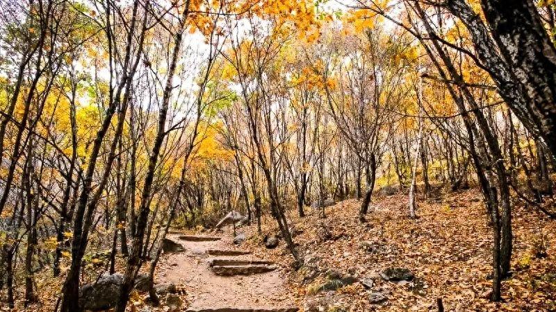徒步|京郊秋季七条人少景美的徒步路线，你去过吗？