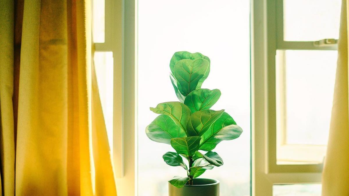 底牌|不管和谁相处，都要藏起来三样东西，这才是真聪明