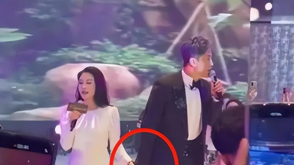 毛宁|他8次上春晚，与杨钰莹有一段佳话，今靠色相吃饭