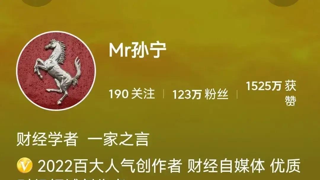 |从Mr孙宁自曝的简历看其这个网红大咖有多么水